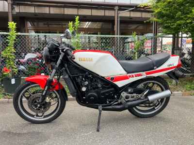 Yamaha RZ250R