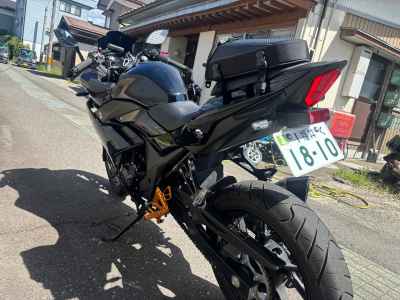 Suzuki GSX250R