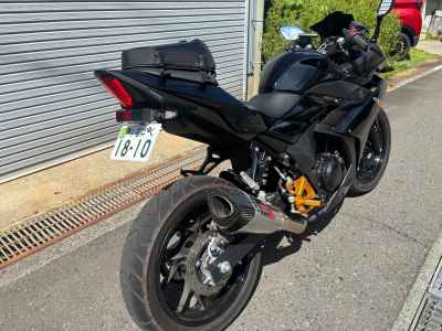 Suzuki GSX250R