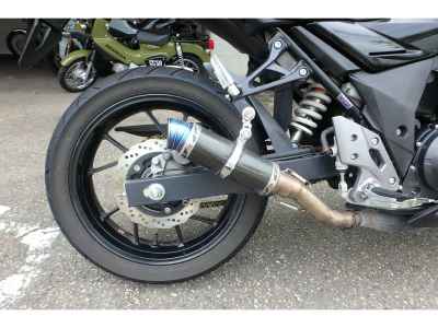 Suzuki GSX250R