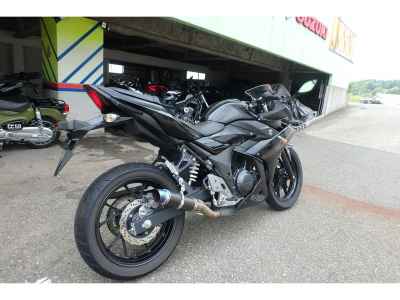 Suzuki GSX250R