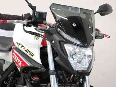 Yamaha MT-25 2016
