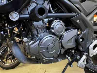 Benelli TRK251 2023