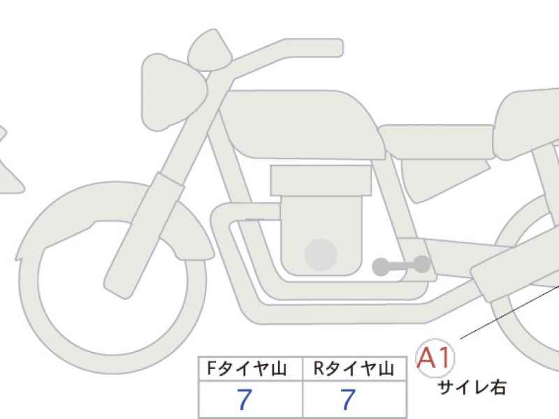 Kawasaki Z900RS Cafe 2022