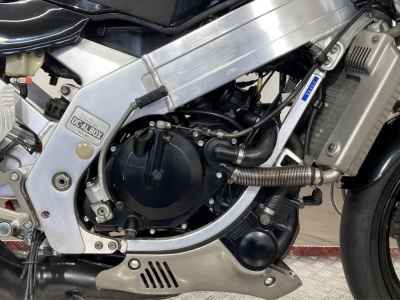 Suzuki Wolf 250