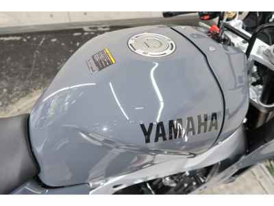 Yamaha XSR900 GP 2024