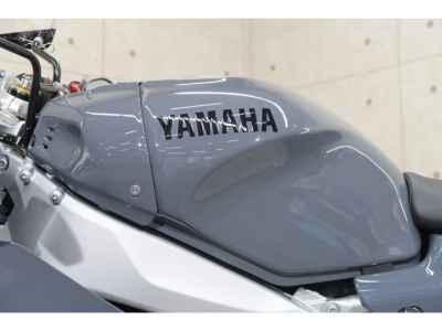 Yamaha XSR900 GP 2024
