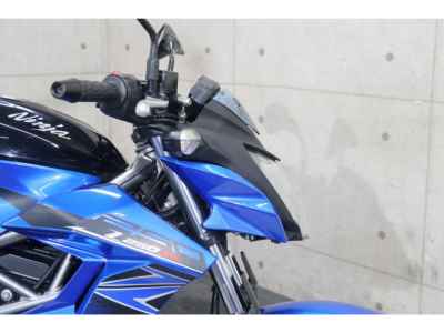 Kawasaki Z250SL 2016