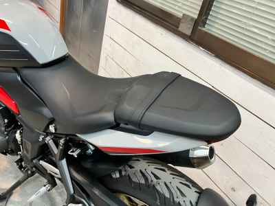 Triumph Trident 800 2026