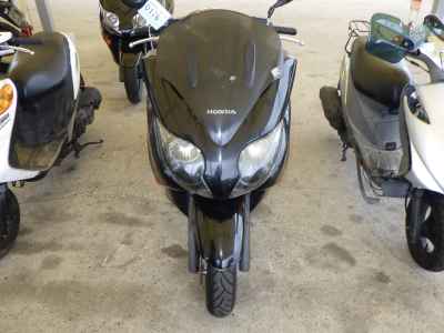 Honda Forza X