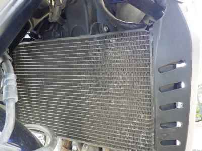Honda Hawk 11 2022