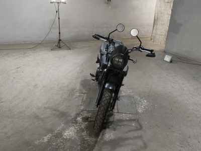 Honda CL500 2023