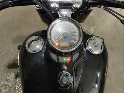 Harley-Davidson Slim FLS1580 2015