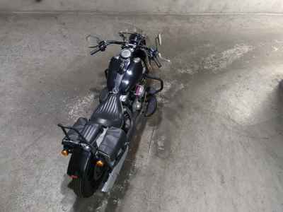 Harley-Davidson Slim FLS1580 2015