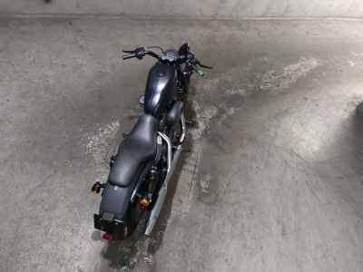 Harley-Davidson Sportster Iron XL883N 2010