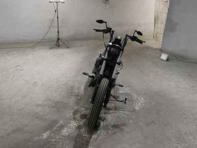 Harley-Davidson Sportster Iron XL883N 2011