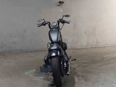 Harley-Davidson Sportster Iron XL883N 2011