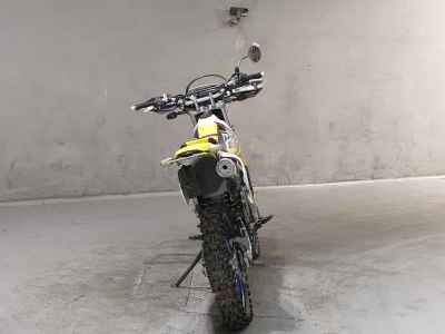 Suzuki DR250R