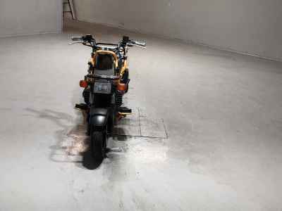 Honda PS250 Big Ruckus