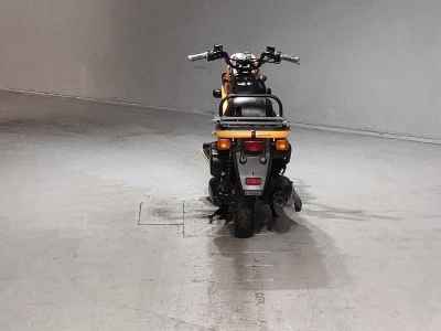 Honda PS250 Big Ruckus