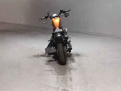 Harley-Davidson Sportster Forty-Eight XL1200X 2015