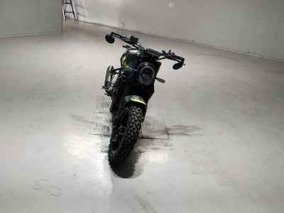 Benelli LEONCHINO 250 2021