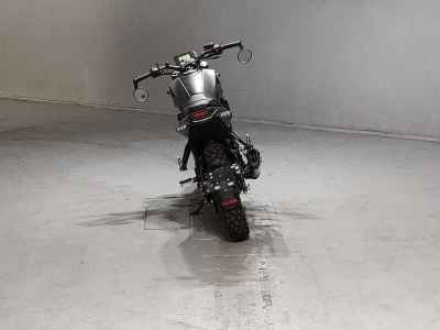 Benelli LEONCHINO 250 2021