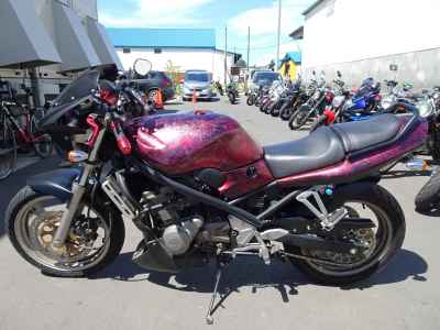 Harley-Davidson X500 2024
