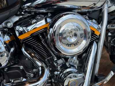 Harley-Davidson FLSTFI 2025