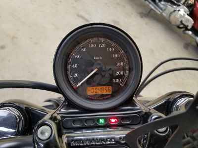 Harley-Davidson Sportster Forty-Eight XL1200X 2013
