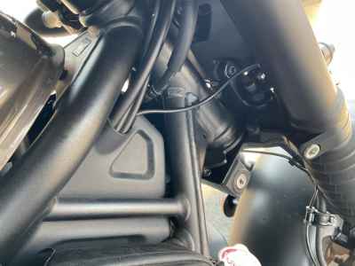 Honda Rebel CMX250 2023