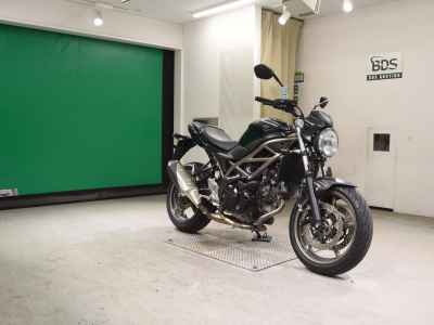 Suzuki SV650 2024