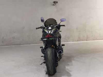 Kawasaki Z1000 2018