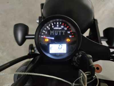 Mutt Hilts 250 2021