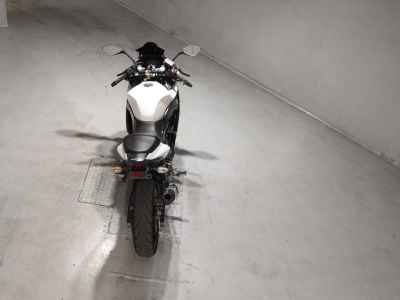 Suzuki GSX250R