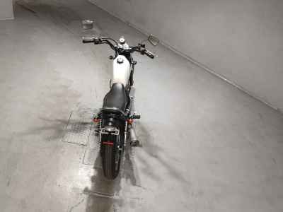 Suzuki GrassTracker Bigboy