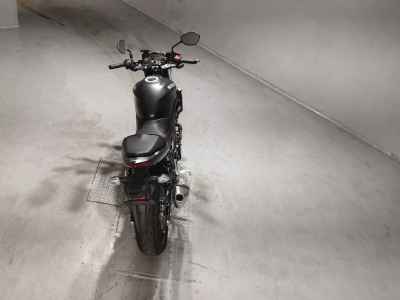 Suzuki SV650 2023