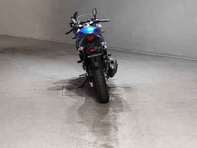 Suzuki GSX250R