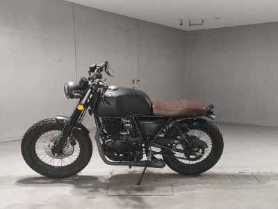 Mutt Akita 250 2022
