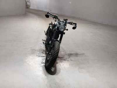Mutt Akita 250 2022