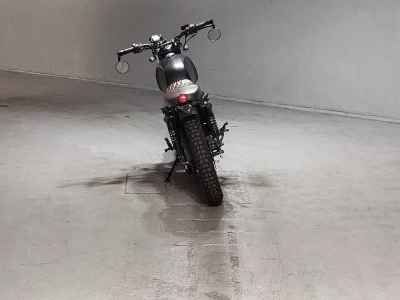 Mutt Akita 250 2022