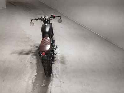 Mutt Akita 250 2022