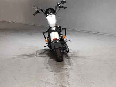 Harley-Davidson Sportster XL1200NS 2018