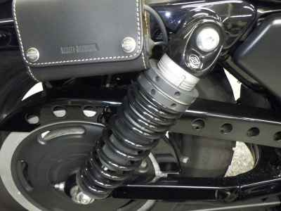 Harley-Davidson Sportster Iron XL883N 2015
