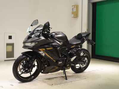 Kawasaki Ninja ZX-25R 2022