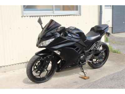 Kawasaki Ninja 250