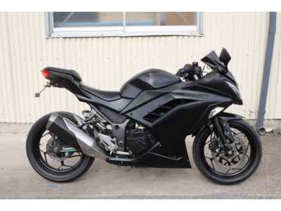 Kawasaki Ninja 250