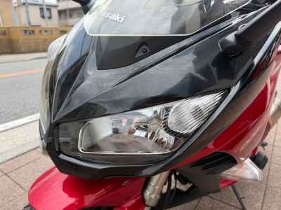 Kawasaki Ninja 1000 2015