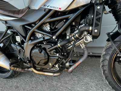 Suzuki SV650S 2021