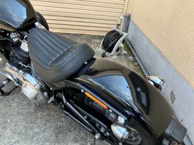 Harley-Davidson Softail FXST 2024